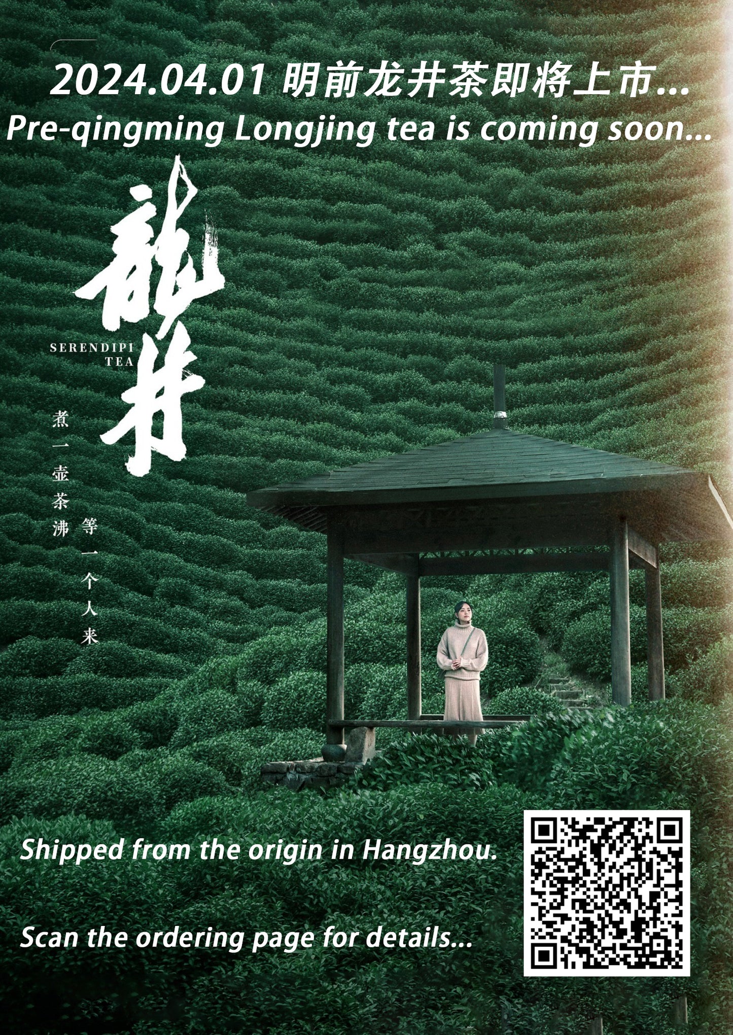 2024 New Harvest Hangzhou Pre-Qingming West Lake Long Jing Green Tea -Old Dragon Well Tea -Quntizhong（群體種） 4.4oz,Ming Qian LongJing Cha, Premium Loose Leaf Green Tea（Second Grade ）