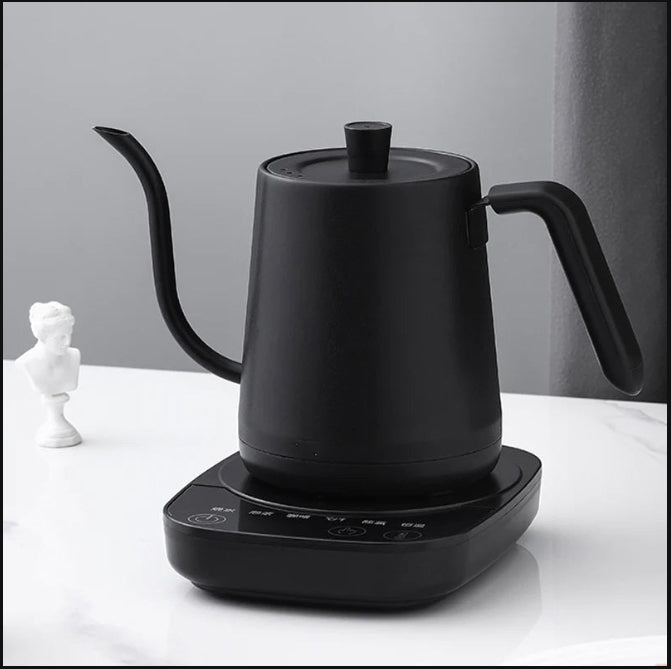 900ml Electric Gooseneck Kettle - Temperature Control, Stainless Steel